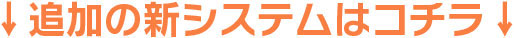 追加の新システム